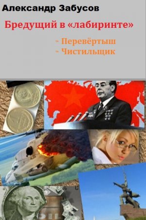 Постер к Александр Забусов. Цикл - Бредущий в «лабиринте».
