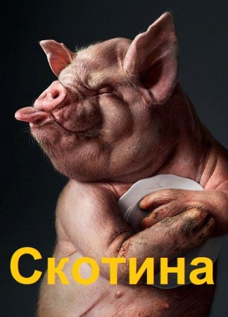 Постер к Степан Городничий. Цикл книг - Скотина